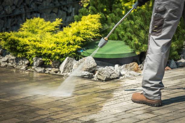 Best Dumpster Area Cleaning  in Verandah, FL