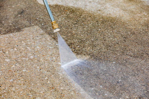 Best Sidewalk and Walkway Cleaning  in Verandah, FL